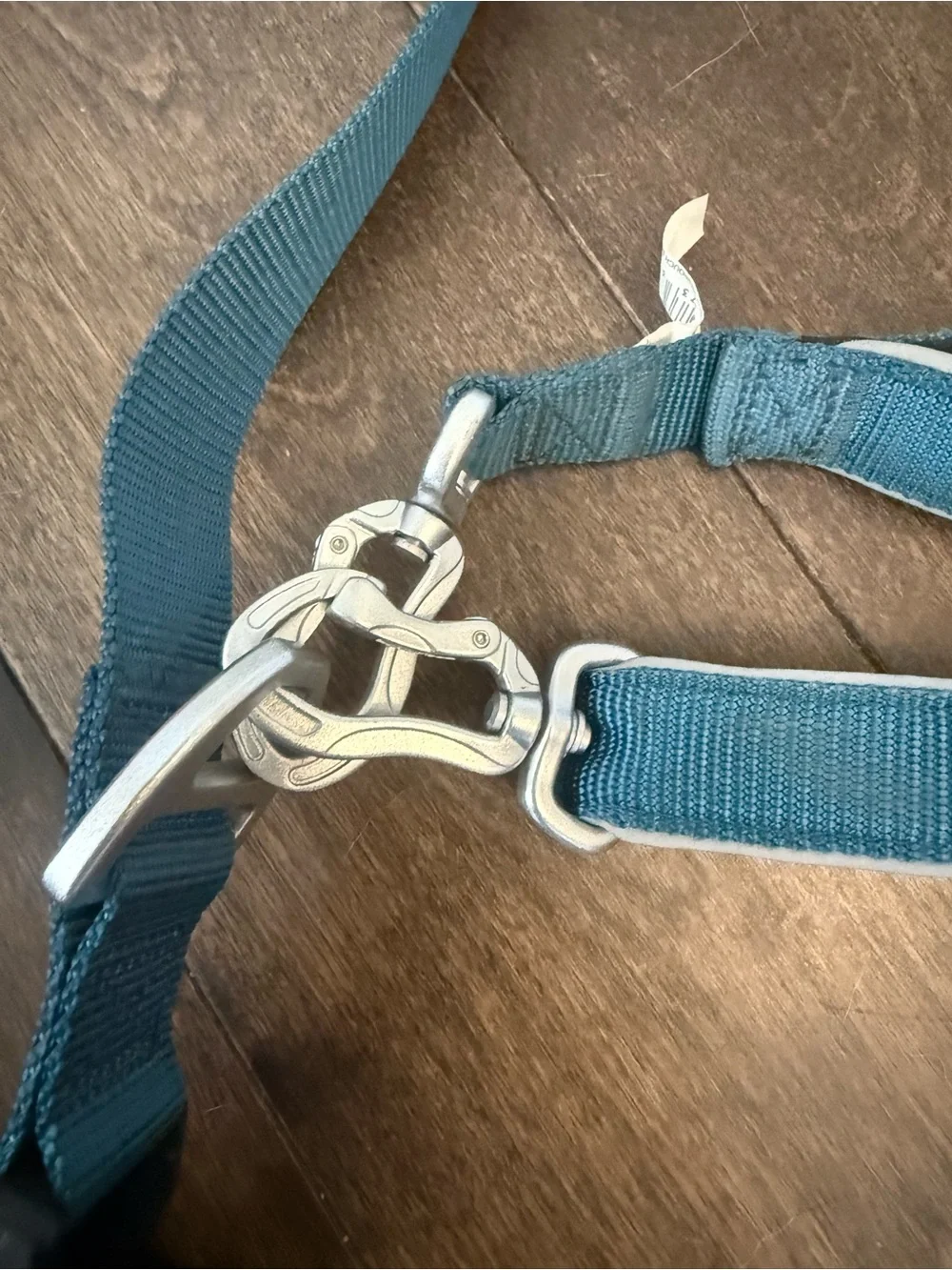 Arcadia Blue Sling Crossbody Bag and Leash